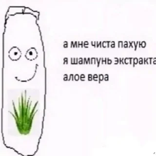 🌿