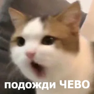 😮