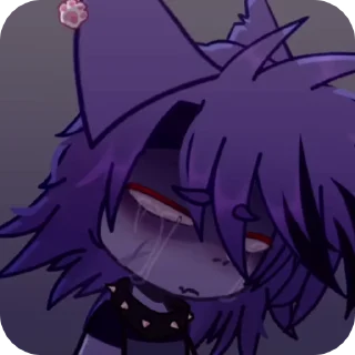 😿