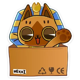 👋