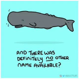 🐋