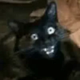 😱