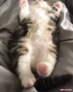 😴
