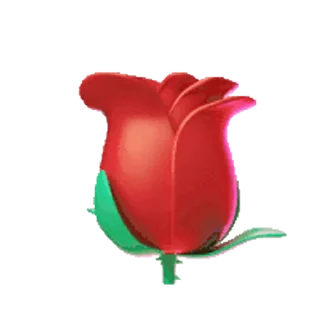🌹