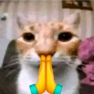 🙏
