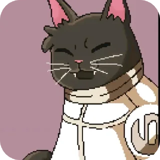 🐱