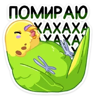 😂