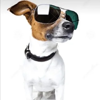 😎