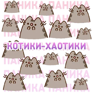 🙀