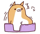 🐶