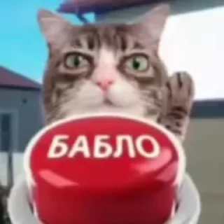 🤑