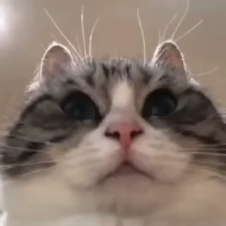 😶