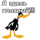 Даффи Дак :: @animesticks
