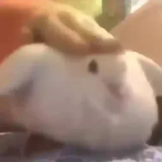 👄