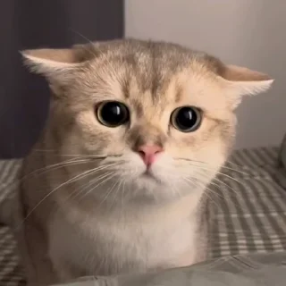 😐