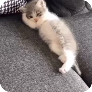 😏