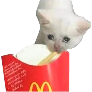 🍟