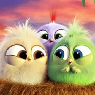 Angry Birds @this_is_sticker_party