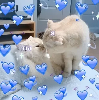 💜
