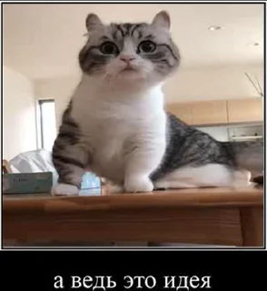 🤨