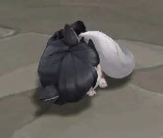 😴