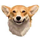 🐶