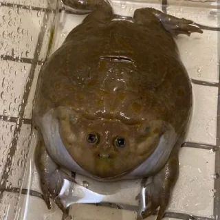 😊