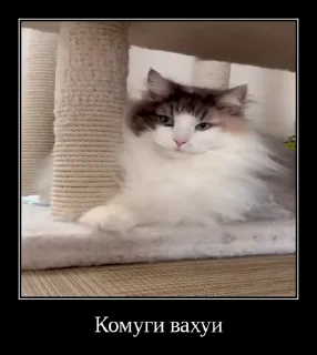 😳