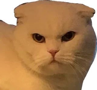 👿
