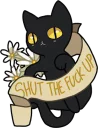 😼
