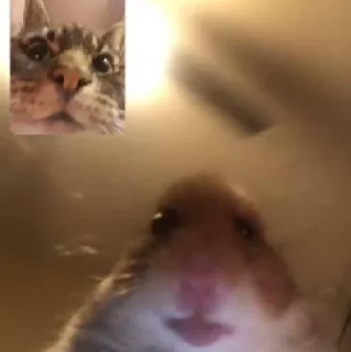 📞