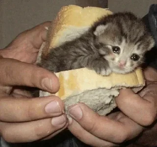 🥺
