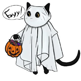 😼