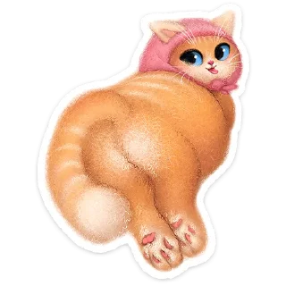 🐱