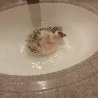 🛁