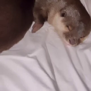 👊