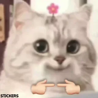 🥹