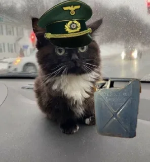 ✊
