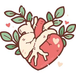 ❤️