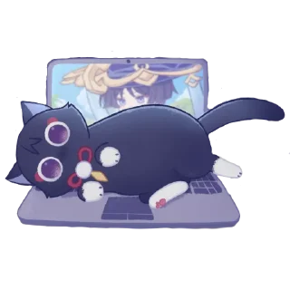 💻