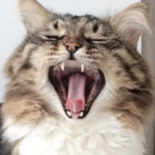 ☺️