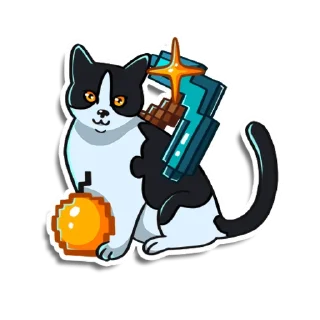 🐱