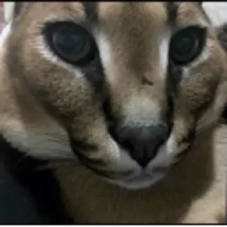 😕