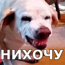 😠