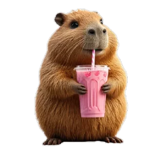 🍹