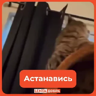 🖐