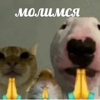 🙏