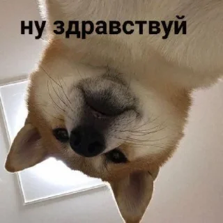 🙃
