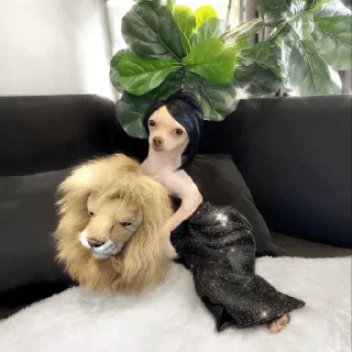🦁