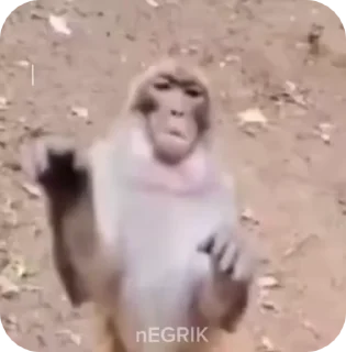 @nEGRIK74 пак 2 :: @fStikBot